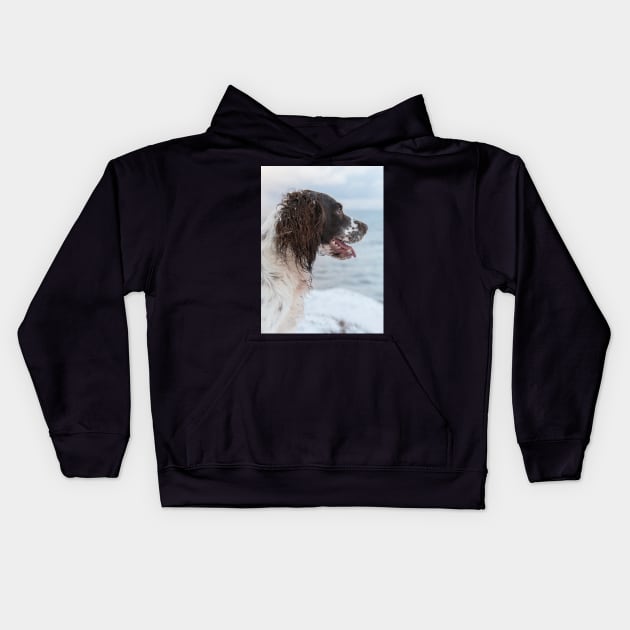 English Springer Spaniel looking out to Sea Kids Hoodie by Robert john